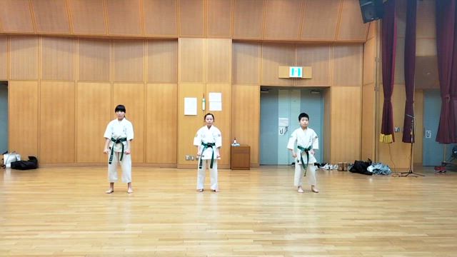 型動画　平安1　平安2の記事動画