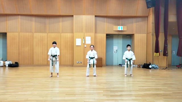 型動画　平安1　平安2の記事動画