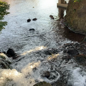 三嶋大社編の画像