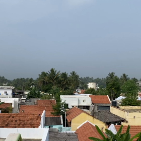 インド帰省の画像