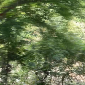 秋なのに暑い　京都の旅の画像