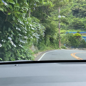伊豆半島海岸線を走破した旅の画像