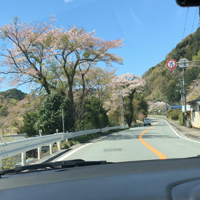 伊豆半島を走る旅の画像