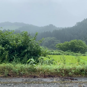 ５０%OFFで岩手・秋田の画像