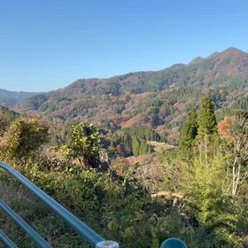 ネコの誕生月 旅の画像