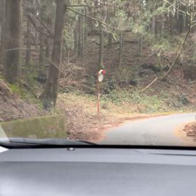 会社勤め 卒業旅に出たの画像