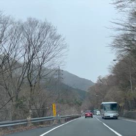 会社勤め 卒業旅に出たの画像