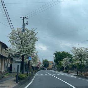 越えるに越えられぬ 峠旅の画像
