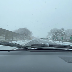 名残り雪と筍の季節の画像