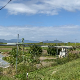 秋なのに暑い　京都の旅の画像