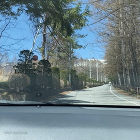 桜を見に　今年も小布施の画像