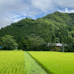 ５０%OFFで岩手・秋田の画像