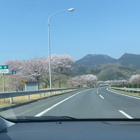 何処に行くの？の画像