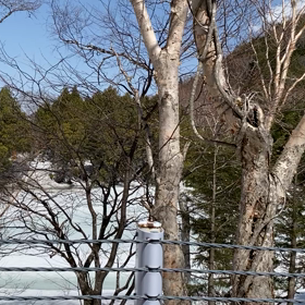 桜を見に　今年も小布施の画像