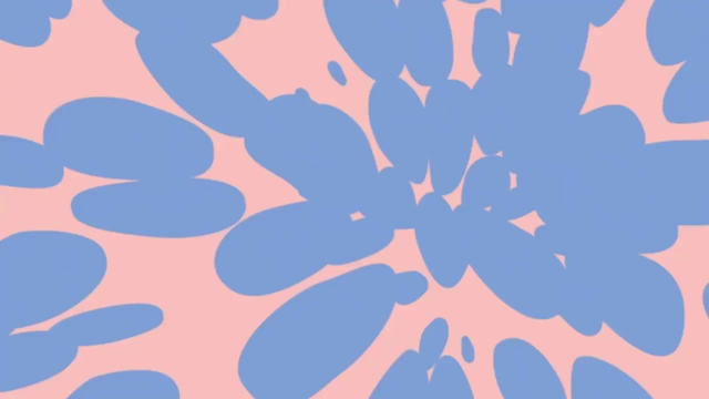 どうぶつ音楽会PR動画完成！の記事動画