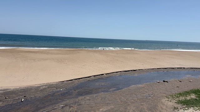 海辺でマインドフルネス♪の記事動画