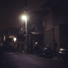 ＊久しぶりの雪＊の画像