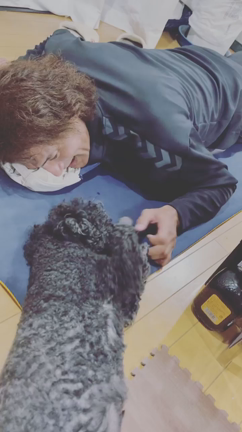 幸せのひととき。の記事動画