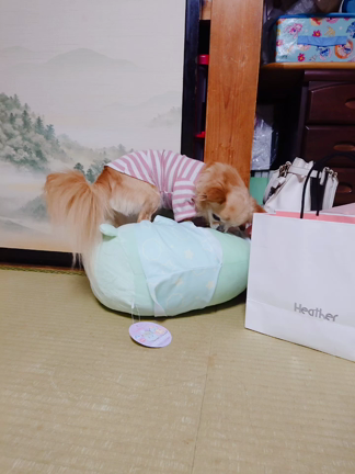 飲みに行ったよ(*´罒`*)の記事動画
