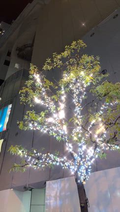 11月1日になったやんかー。の記事動画