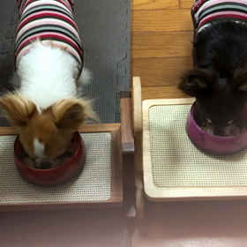 ガツガツ食べる❣️の画像