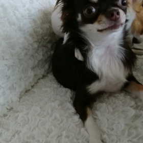 元気だなぁ～✨の画像