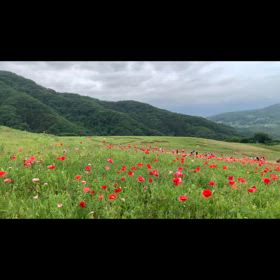 2024/05/28の画像