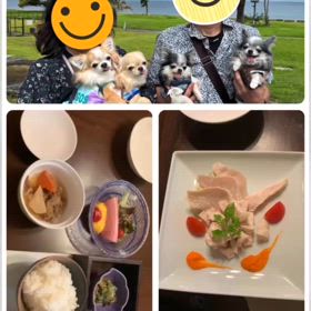 2024/06/21の画像
