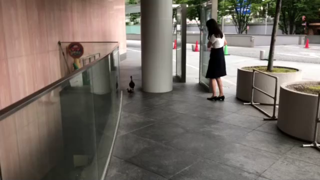 動画には、続きが〜の記事動画