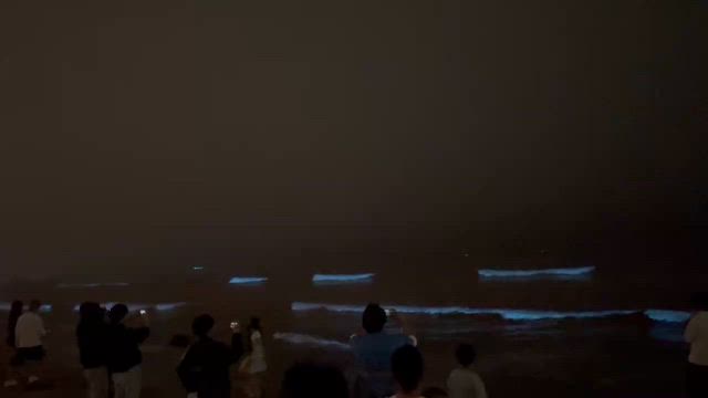 夜光虫を鎌倉　由比ヶ浜で、9年ぶりだって‼️の記事動画