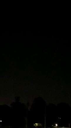 初めて動画をUPしてみたの記事動画