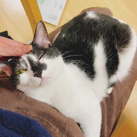 のんびり営業♪の画像