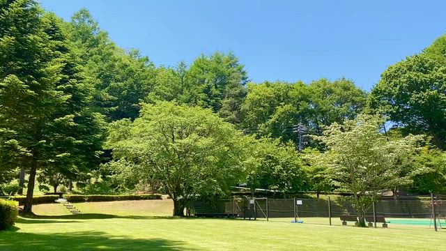 梅雨時の自然の輝きの記事動画