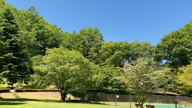 梅雨の中休み・・の記事動画