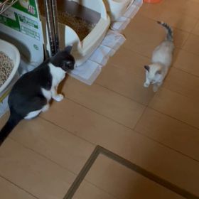 ぬおっ！の画像