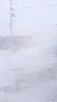 本日は吹雪なり！の記事動画