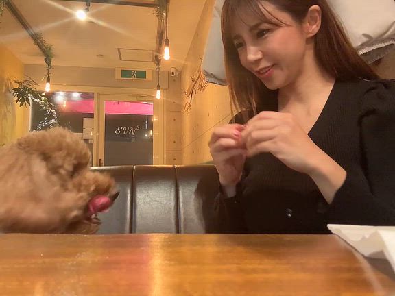 好きなお店見つけた♡の記事動画