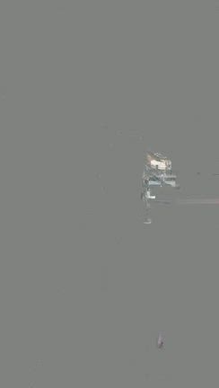 インフルエンザB型の記事動画