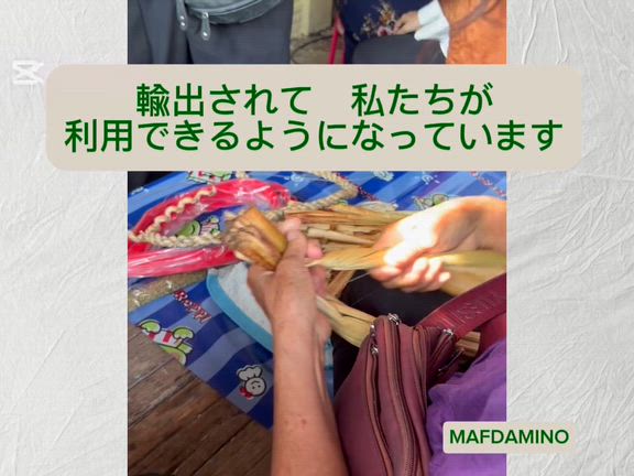 ホテイアオイって何？ 動画でご紹介しますの記事動画