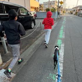 早朝ランニングに無理矢理連れ出した結果の画像