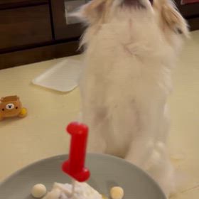 誕生日ケーキの画像