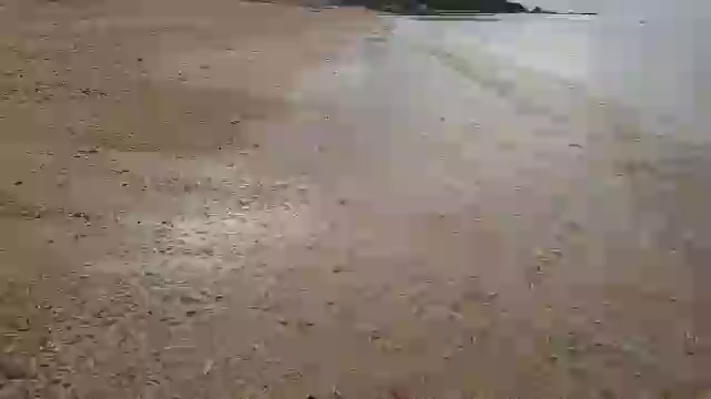 贈り物の記事動画