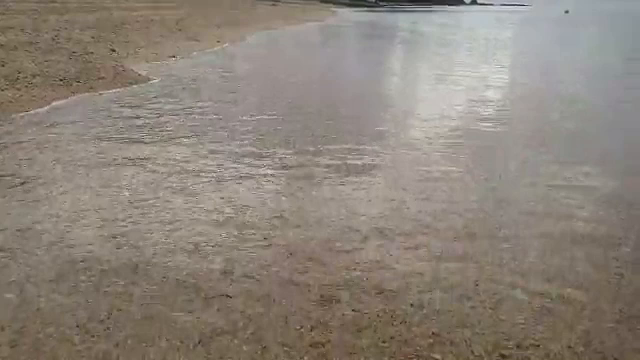 贈り物の記事動画