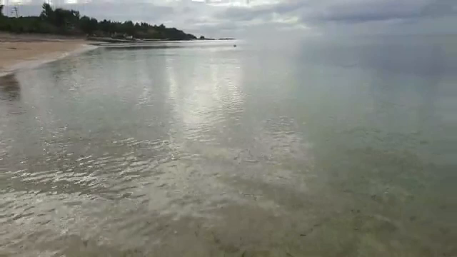 贈り物の記事動画