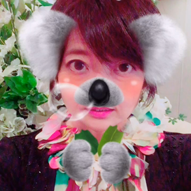 コアラでインフォの画像