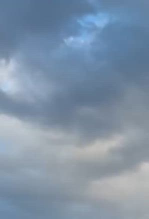 あら！またいたの記事動画