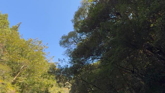 こんばんはの記事動画