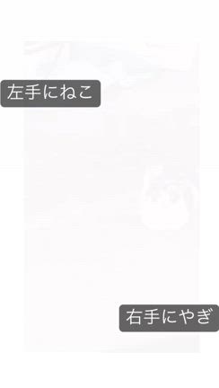 本日の活動報告の記事動画