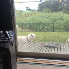 情操教育中の画像