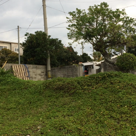 集落の朝の画像